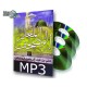 Al Moshaf Al-Mo'allem MP3