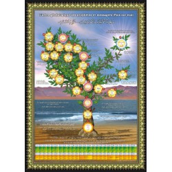 Poster l'arbre généalogique des prophètes et des messagers (arabe/francais)